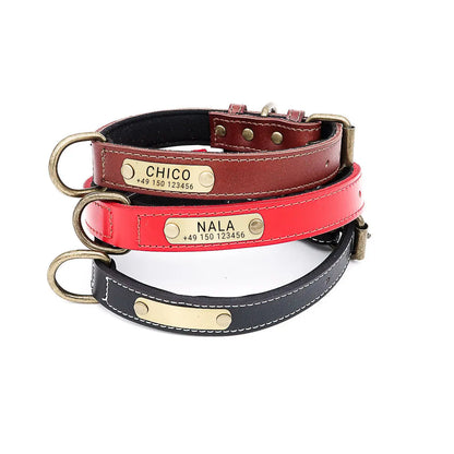 Hundehalsband mit Namen auf Messingschild aus hochwertigem Leder, Innenpolsterung aus Neopren, 2 massive D-Ringe - Medikratz 