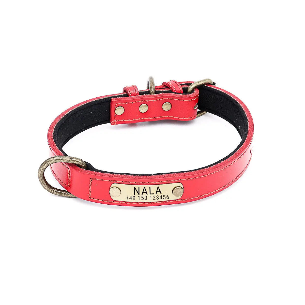 Hundehalsband mit Namen auf Messingschild aus hochwertigem Leder, Innenpolsterung aus Neopren, 2 massive D-Ringe - Medikratz 