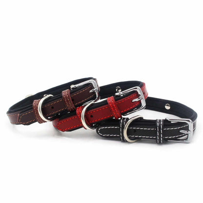 Hundehalsband mit Namen aus hochwertigem Leder, Innenpolsterung aus Neopren, 2 massive D-Ringe - Medikratz 