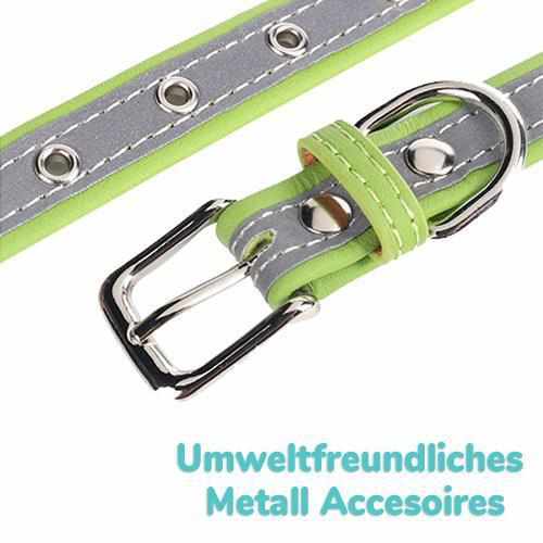 Hundehalsband mit Namen und Telefon graviert. Reflektierend - Medikratz 