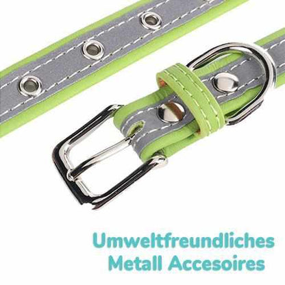 Hundehalsband mit Namen und Telefon graviert. Reflektierend - Medikratz 