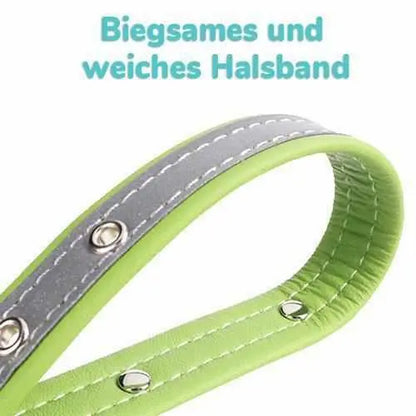 Hundehalsband mit Namen und Telefon graviert. Reflektierend - Medikratz 