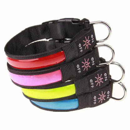 LED Hundehalsband, Stabiles Nylon mit USB Anschluß - Medikratz 