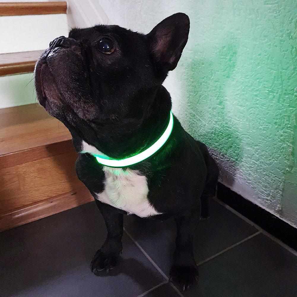 LED Hundehalsband, Stabiles Nylon mit USB Anschluß - Medikratz 