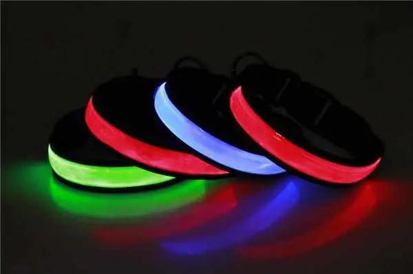 LED Hundehalsband, Stabiles Nylon mit USB Anschluß - Medikratz 