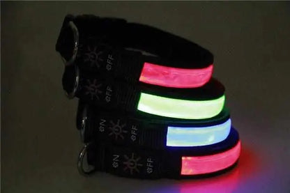LED Hundehalsband, Stabiles Nylon mit USB Anschluß - Medikratz 
