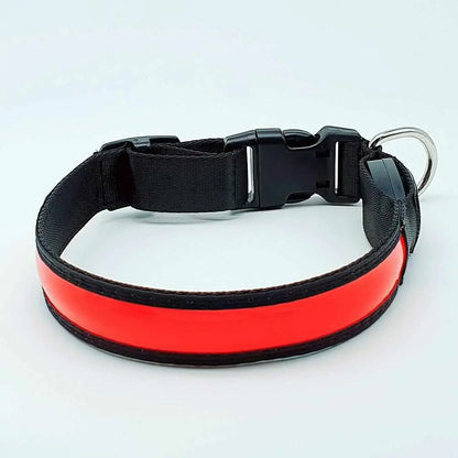 LED Hundehalsband, Stabiles Nylon mit USB Anschluß - Medikratz 