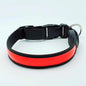LED Hundehalsband, Stabiles Nylon mit USB Anschluß - Medikratz 