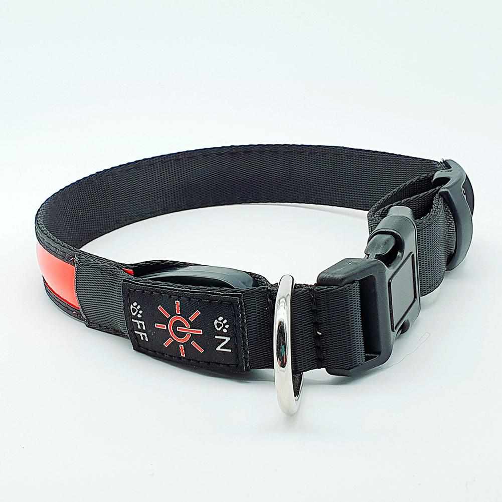 LED Hundehalsband, Stabiles Nylon mit USB Anschluß - Medikratz 