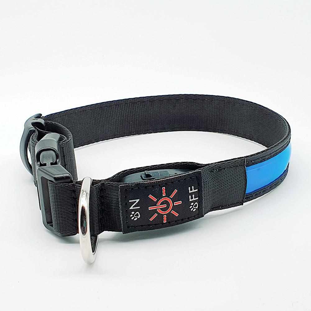 LED Hundehalsband, Stabiles Nylon mit USB Anschluß - Medikratz 