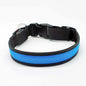 LED Hundehalsband, Stabiles Nylon mit USB Anschluß - Medikratz 