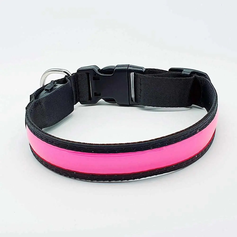LED Hundehalsband, Stabiles Nylon mit USB Anschluß - Medikratz 