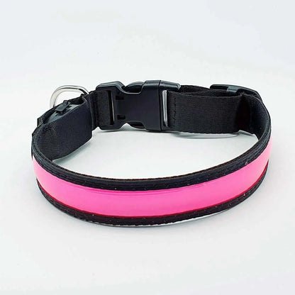 LED Hundehalsband, Stabiles Nylon mit USB Anschluß - Medikratz 