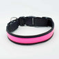 LED Hundehalsband, Stabiles Nylon mit USB Anschluß - Medikratz 
