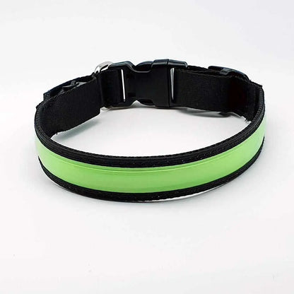 LED Hundehalsband, Stabiles Nylon mit USB Anschluß - Medikratz 