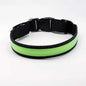 LED Hundehalsband, Stabiles Nylon mit USB Anschluß - Medikratz 