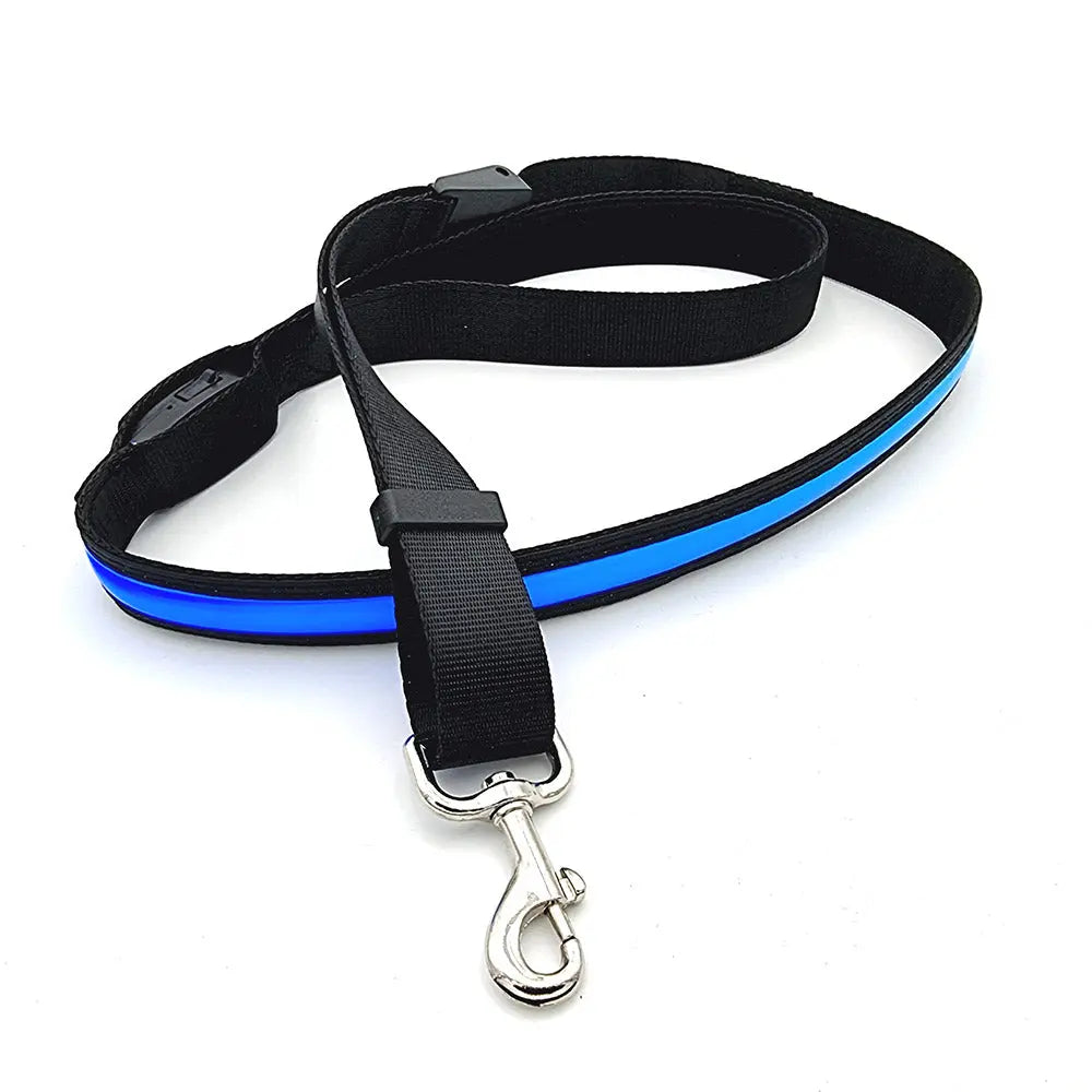 LED leuchtende Hundeleine mit USB, 120-150 cm - Medikratz 