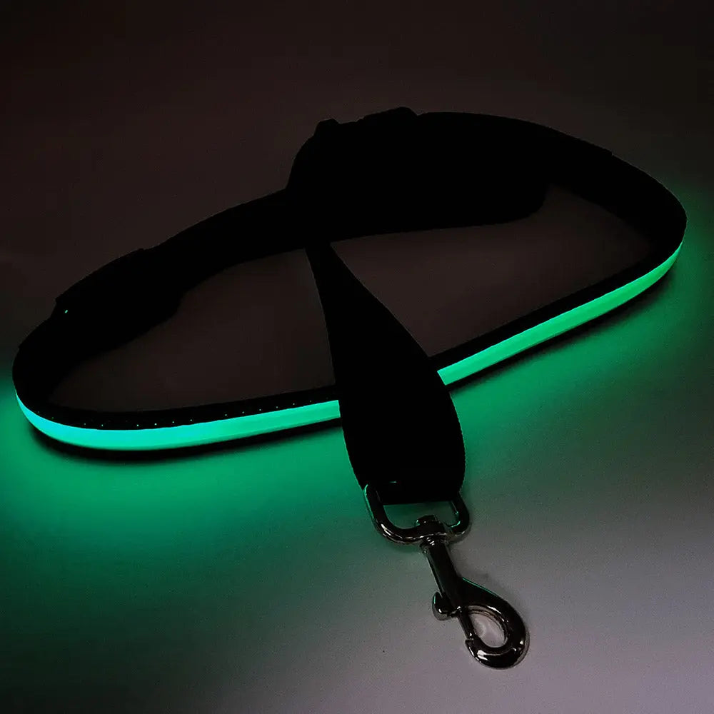 LED leuchtende Hundeleine mit USB, 120-150 cm - Medikratz 