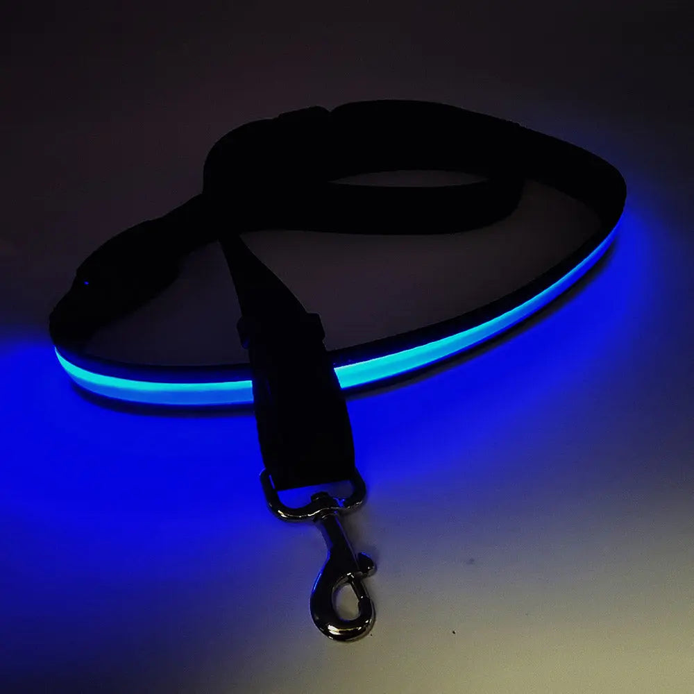 LED leuchtende Hundeleine mit USB, 120-150 cm - Medikratz 