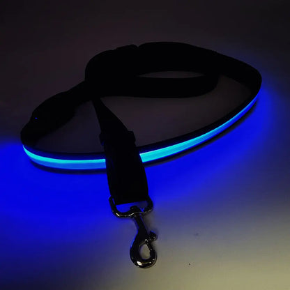 LED leuchtende Hundeleine mit USB, 120-150 cm - Medikratz 