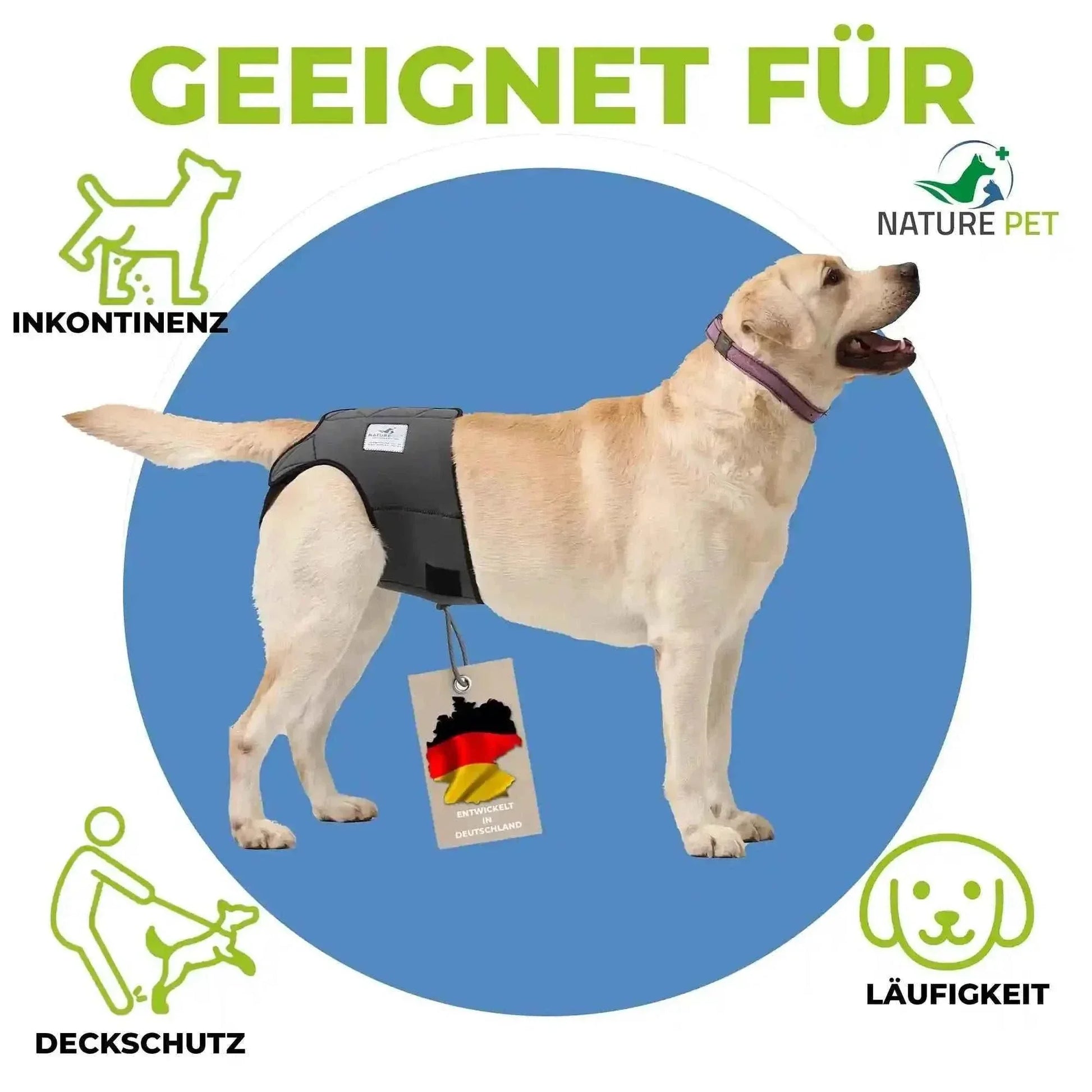 Läufigkeitshose für Hündinnen - Medikratz 
