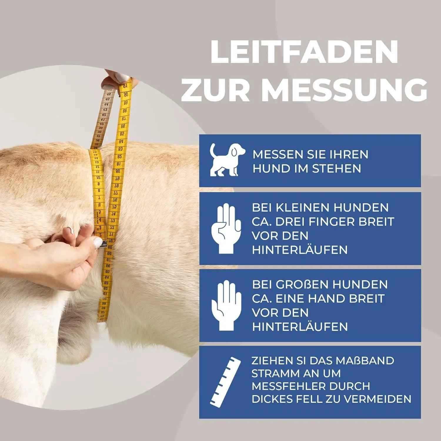 Läufigkeitshose für Hündinnen - Medikratz 