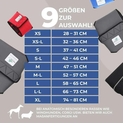 Läufigkeitshose für Hündinnen - Medikratz 