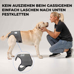 Läufigkeitshose für Hündinnen Nature Pet