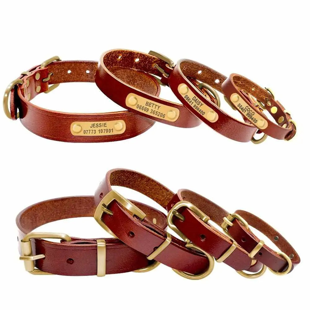Leder Hundehalsband mit goldfarbener Marke, Gravur Name und Telefon - Medikratz 