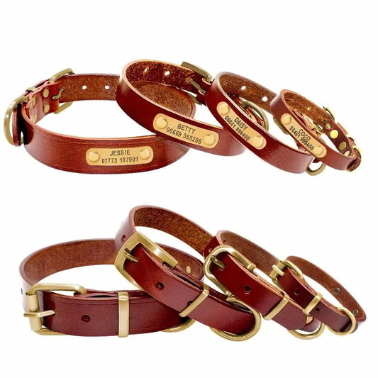 Leder Hundehalsband mit goldfarbener Marke, Gravur Name und Telefon - Medikratz 