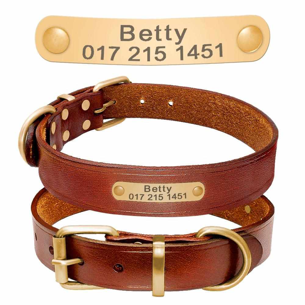 Leder Hundehalsband mit goldfarbener Marke, Gravur Name und Telefon - Medikratz 