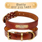 Leder Hundehalsband mit goldfarbener Marke, Gravur Name und Telefon - Medikratz 