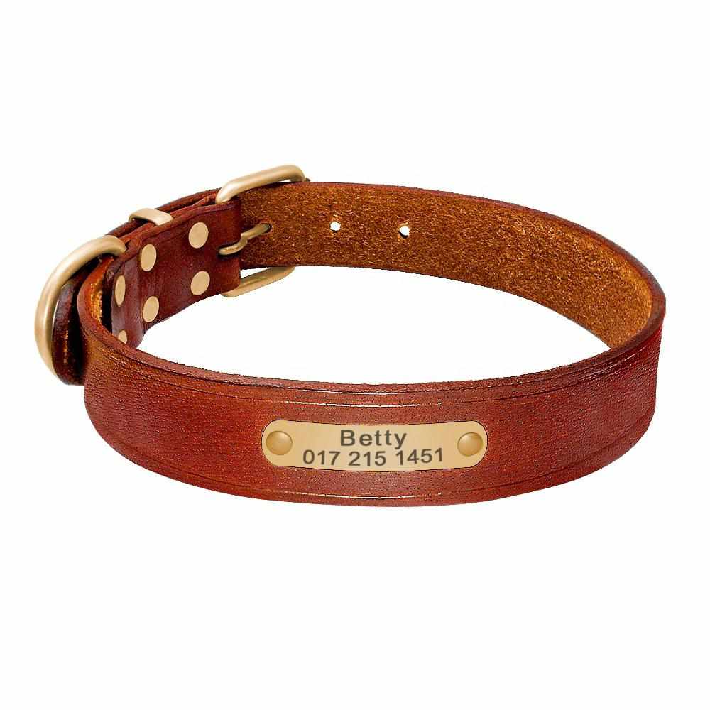 Leder Hundehalsband mit goldfarbener Marke, Gravur Name und Telefon - Medikratz 