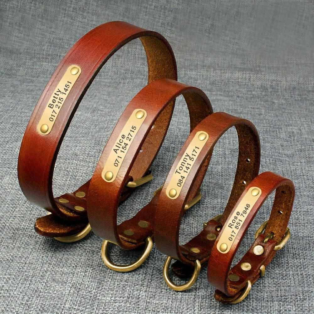 Leder Hundehalsband mit goldfarbener Marke, Gravur Name und Telefon - Medikratz 