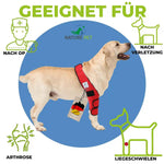 Liegeschwielen Bandage für Hunde