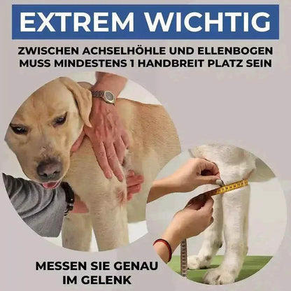 Liegeschwielen Bandage für Hunde - Medikratz 