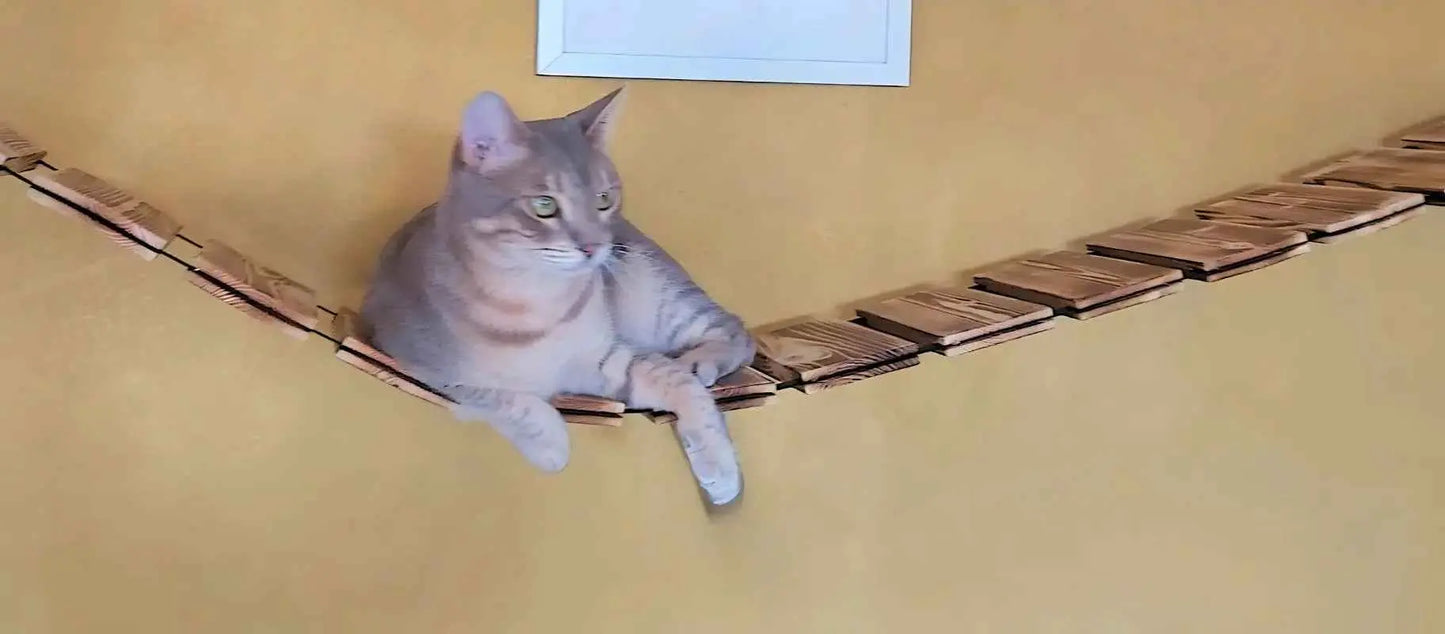 Medikratz Hängebrücke – Die elegante Verbindung für aktive Katzen MediKratz
