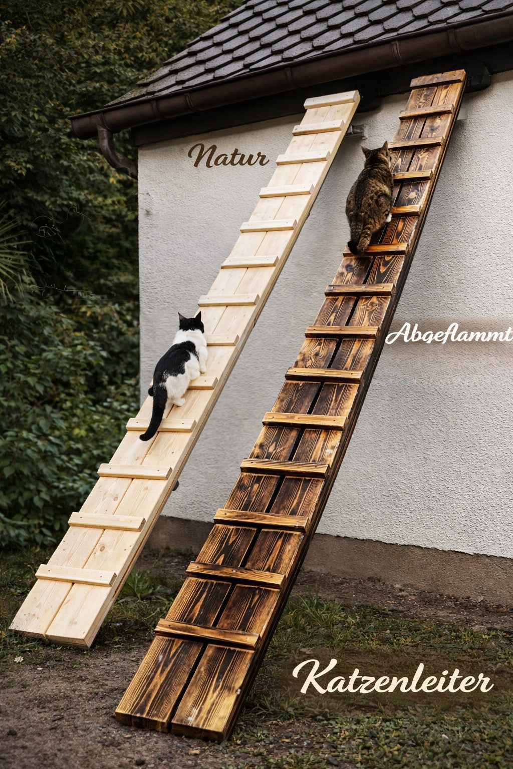 Medikratz Katzenleiter 150cm - Medikratz 