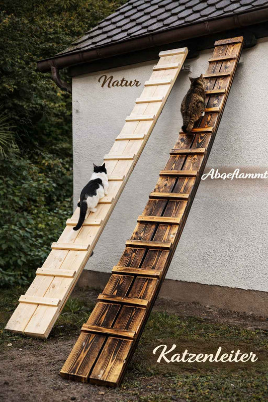 Medikratz Katzenleiter 150cm - Medikratz 