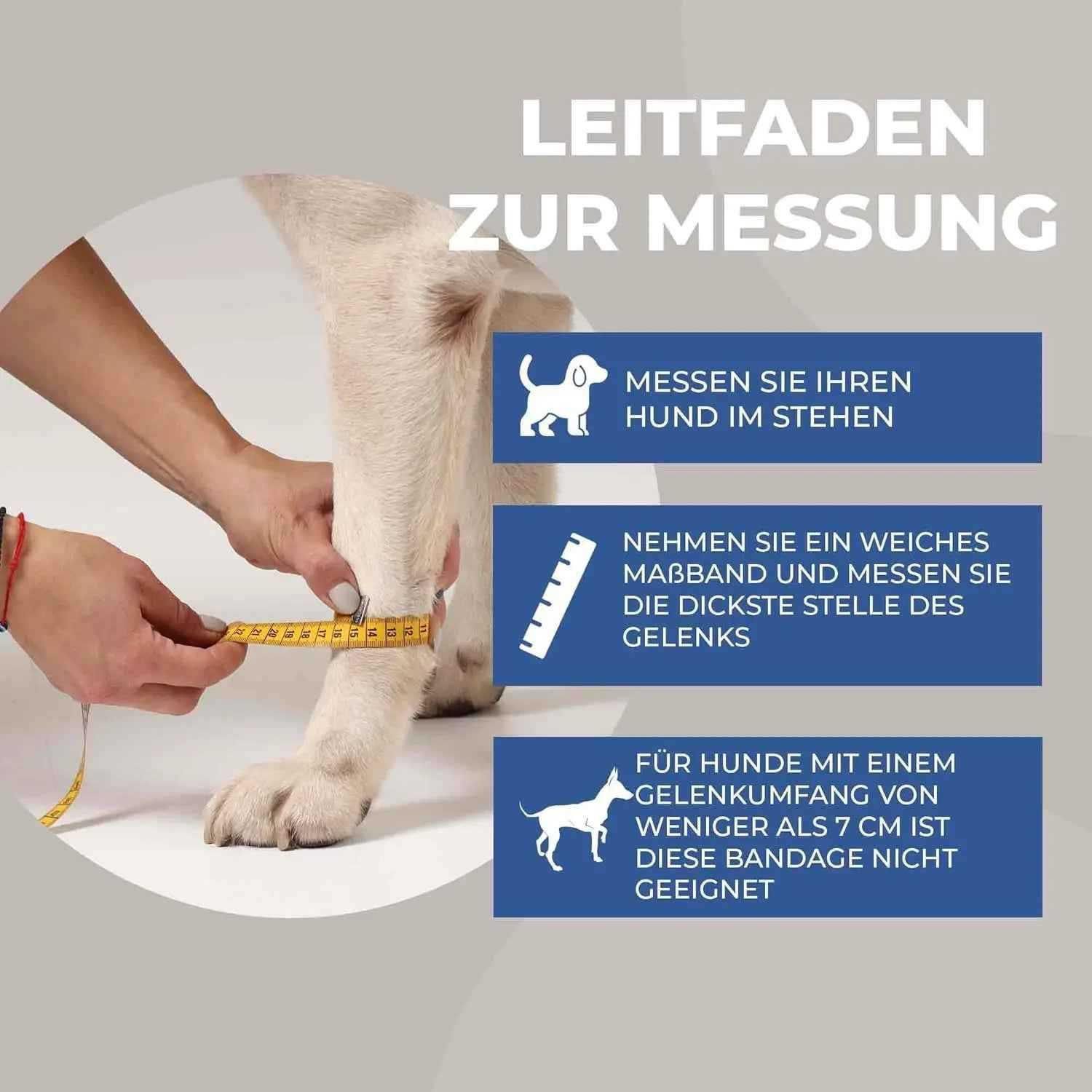 Medium Handgelenksbandage für Hunde - Medikratz 