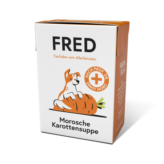 Morosche Karottensuppe FRED & FELIA