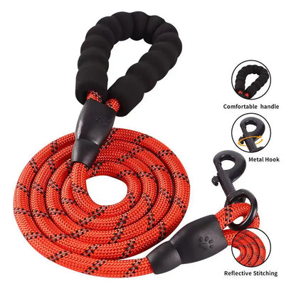 Nylon Hundeleine mit weichem Griff aus Polsterschaum 150cm Länge - Medikratz 