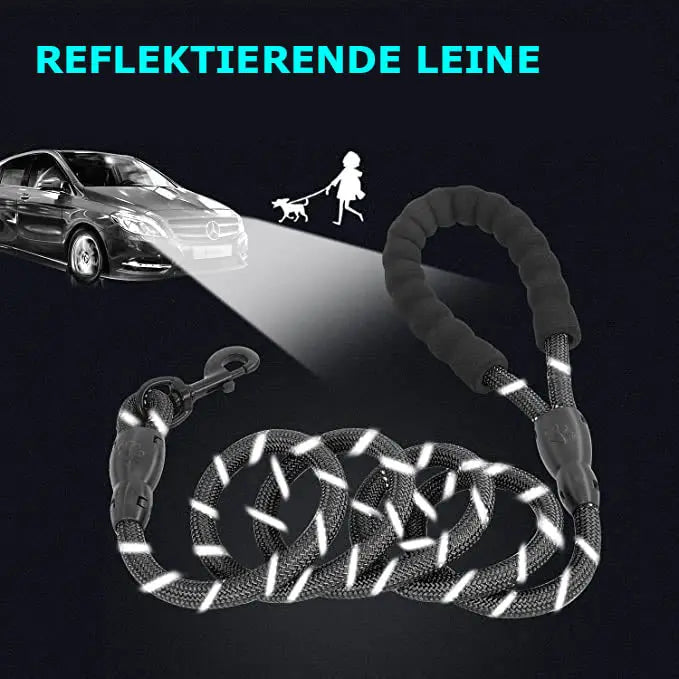 Nylon Hundeleine mit weichem Griff aus Polsterschaum 150cm Länge - Medikratz 
