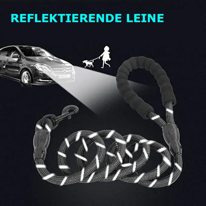 Nylon Hundeleine mit weichem Griff aus Polsterschaum 150cm Länge - Medikratz 