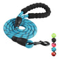 Nylon Hundeleine mit weichem Griff aus Polsterschaum 150cm Länge - Medikratz 