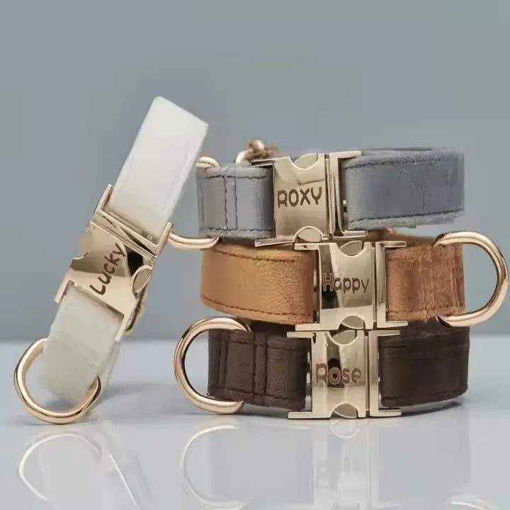 Personalisiertes Samt Hundehalsband "Emilia" mit Gravur – Verstellbar & Elegant - Medikratz 