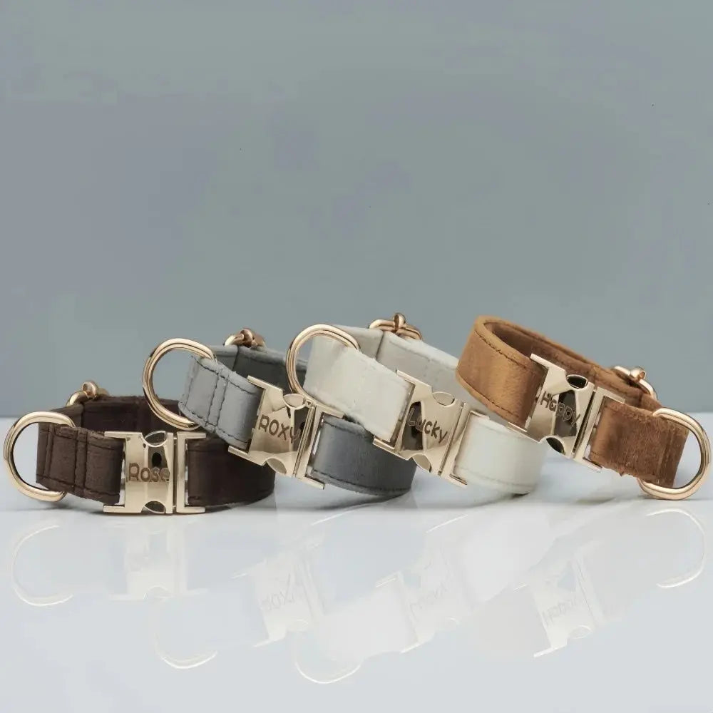 Personalisiertes Samt Hundehalsband "Emilia" mit Gravur – Verstellbar & Elegant - Medikratz 