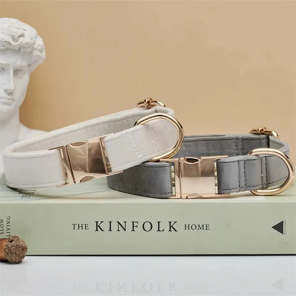 Personalisiertes Samt Hundehalsband "Emilia" mit Gravur – Verstellbar & Elegant - Medikratz 