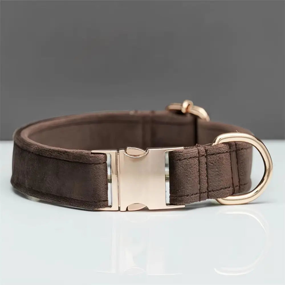 Personalisiertes Samt Hundehalsband "Emilia" mit Gravur – Verstellbar & Elegant - Medikratz 