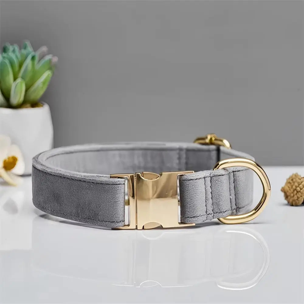 Personalisiertes Samt Hundehalsband "Emilia" mit Gravur – Verstellbar & Elegant - Medikratz 